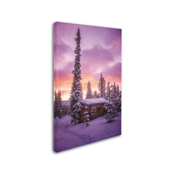 Philippe Sainte-Laudy 'Sleeping Giant' Canvas Art,16x24